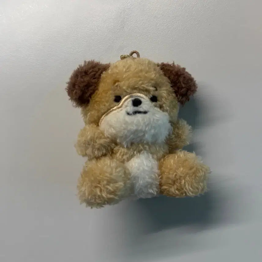 데이식스 데니멀즈 앉은 돈