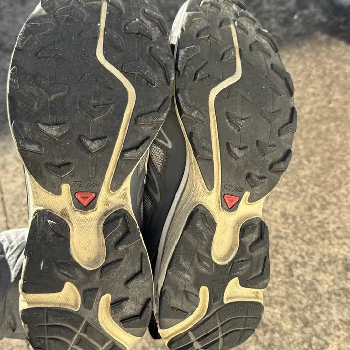 [BUNJANG] Salomon XT-6 Expanse Alloy Quiet Shade / [265] 살로몬 XT-6 익스팬스 알로이 콰이엇 쉐이드