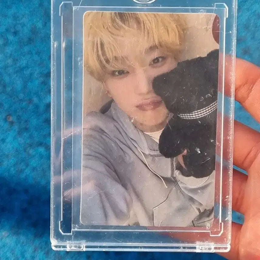 엔하이픈 선우 포카