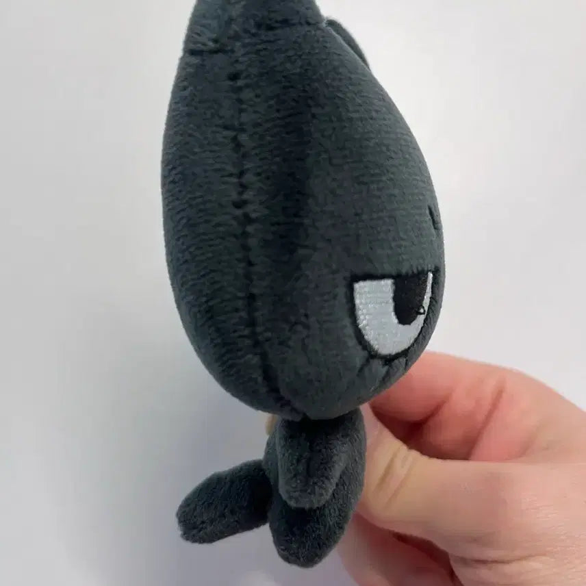 보넥도 태산 태냐코