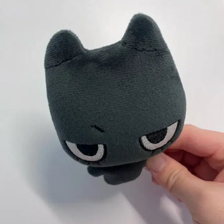 보넥도 태산 태냐코