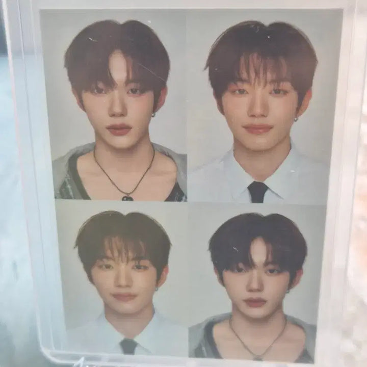 테레카 클유아 서경백 포토카드외 2장