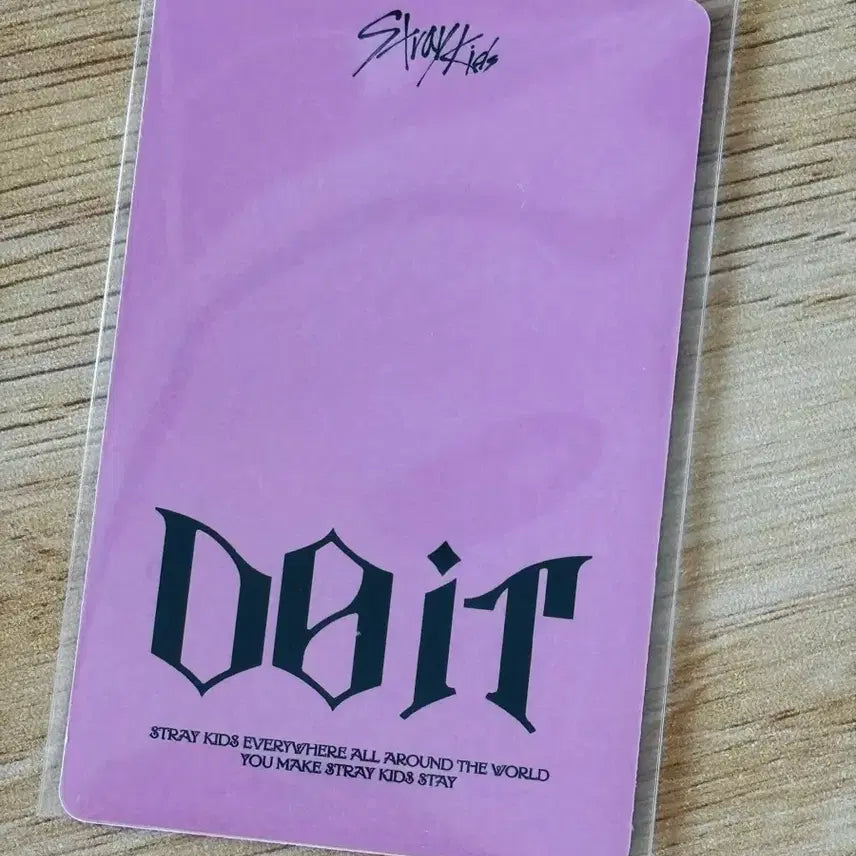 스트레이키즈 리노 포카