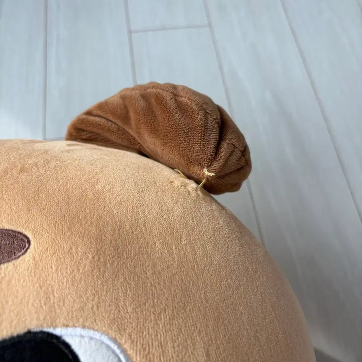 데이식스 자이언트 데니멀즈 돈 도운 전국투어 마이데이