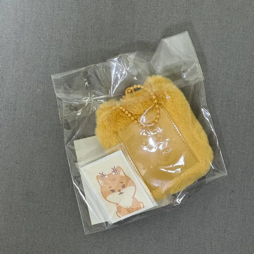 PETIT DENIMALZ ID PHOTO HOLDER KE 데이식스