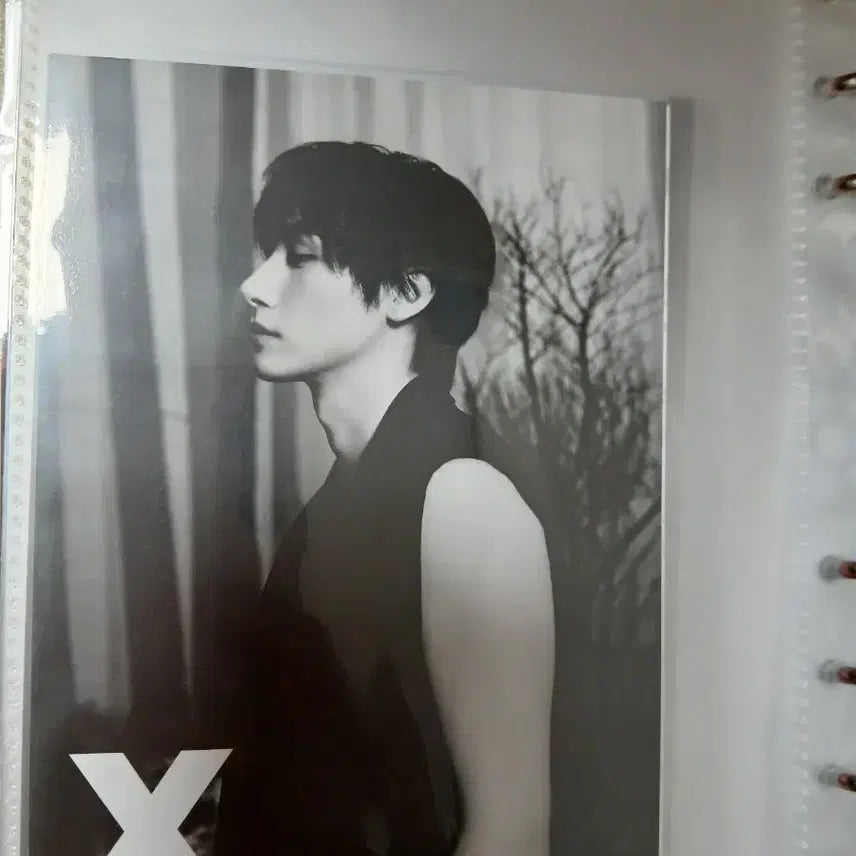 몬스타엑스 더엑스 엽서사진 일괄