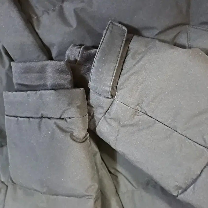 [BUNJANG] National Geographic M Photocard / 내셔날 지오 그래픽 M