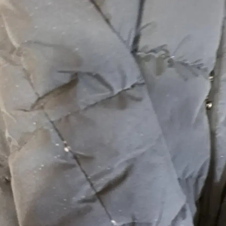 [BUNJANG] National Geographic M Photocard / 내셔날 지오 그래픽 M