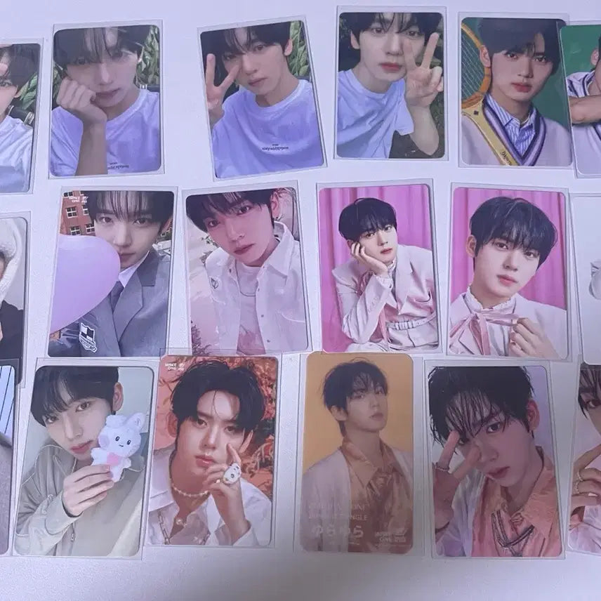 제베원 제로베이스원 포카 약170장 대량 양도 처분