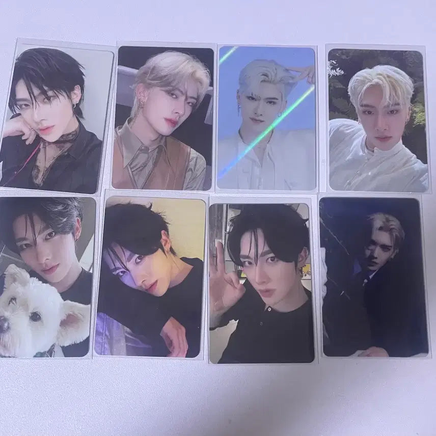 제베원 제로베이스원 포카 약170장 대량 양도 처분