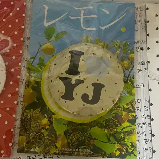 투어스 핀뱃지 양도합니다