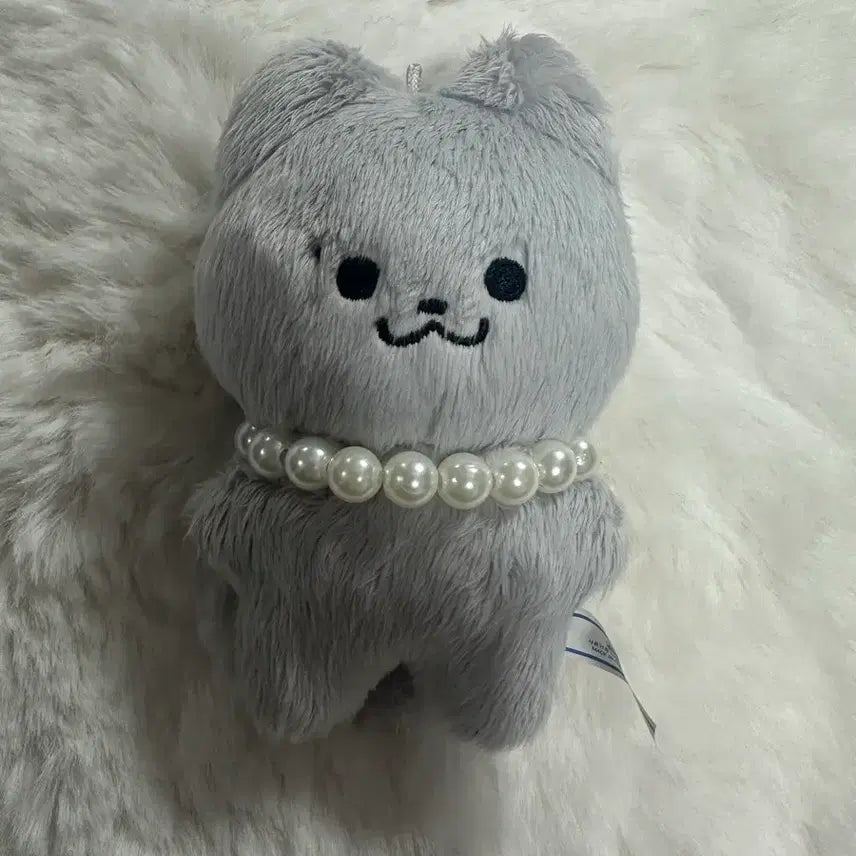 쥬냥이 , 쥬냥이 포카홀더 일괄