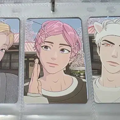 [플레이브] 메디힐 포카 (일괄)