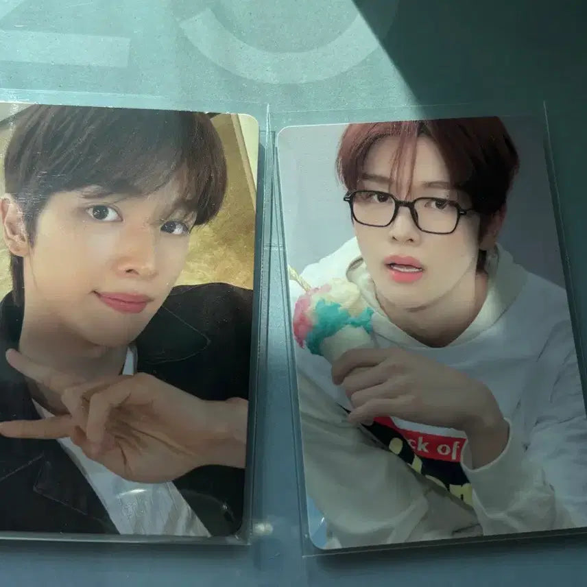 라이즈 성찬 시그 포카 일괄