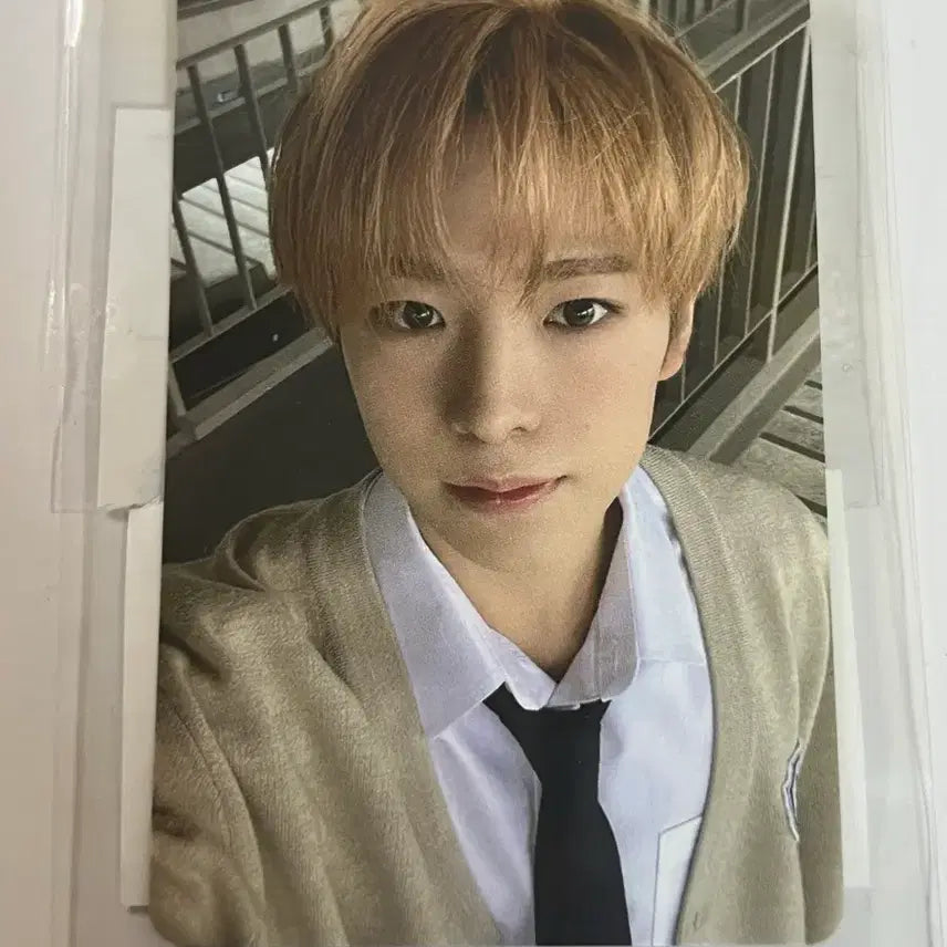 스쿨오브위시 유우시 포카 nct wish