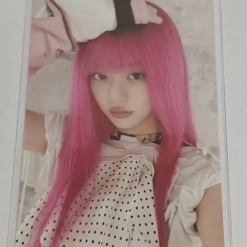 아일릿 낫큐트애니모어 민주 앨포 양도