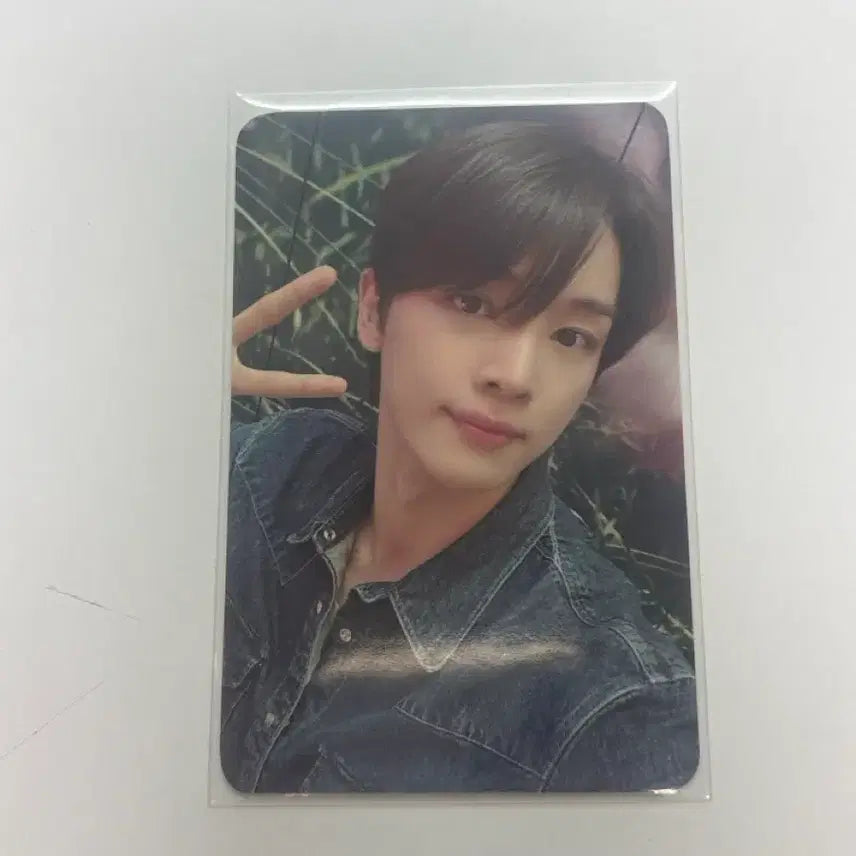 성찬 에버라인 포카