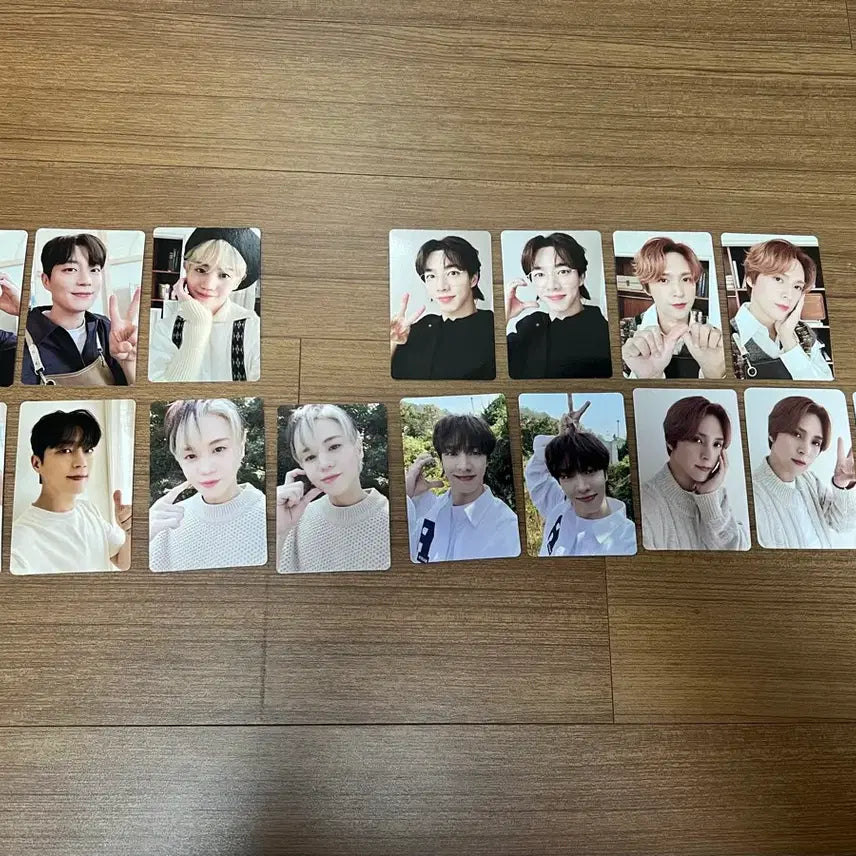 하이라이트 비스트 22시즌크리팅 포카 양도