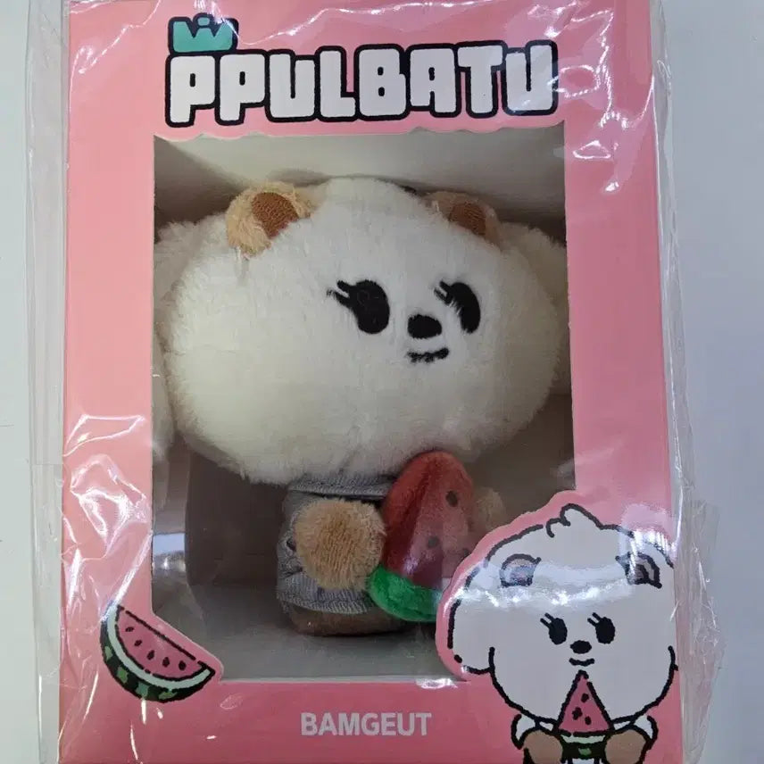 미개봉)범규 밤긋이수박뿔바투 투바투 txt