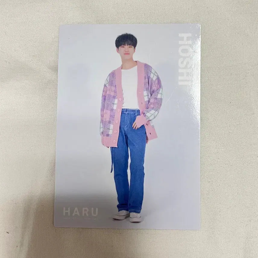 세븐틴 호시 하루 투어 포카 트레카