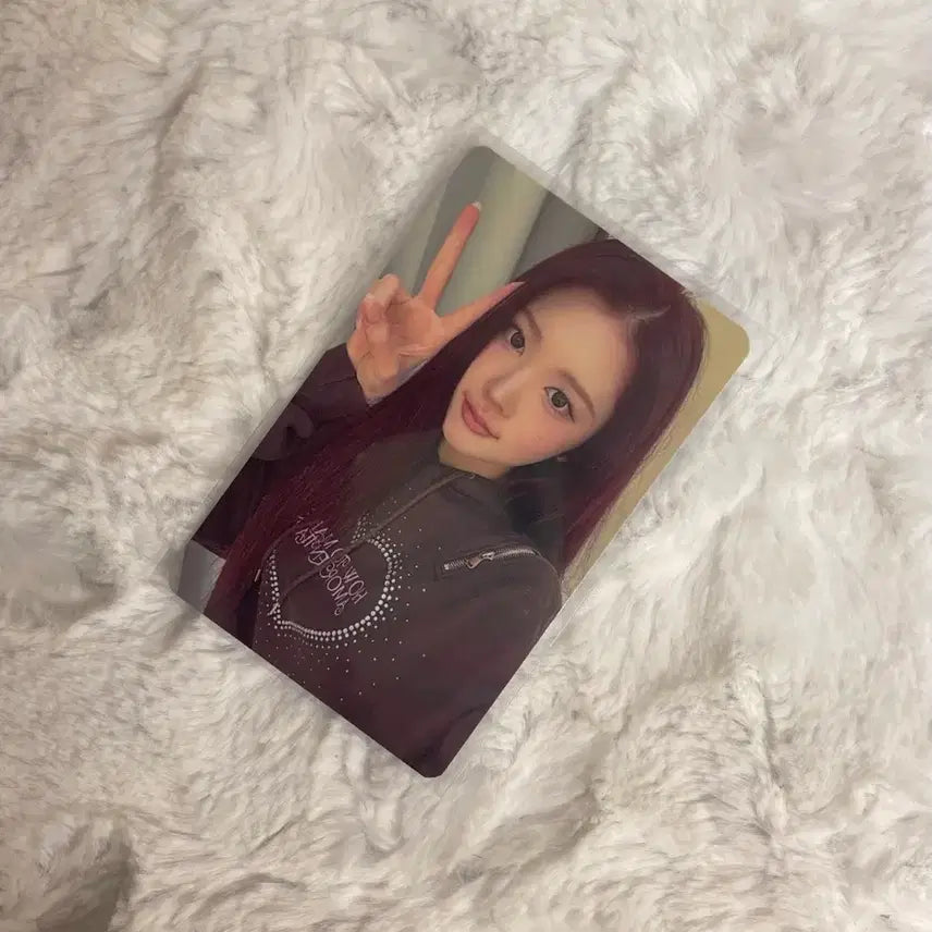 하츠투하츠 인터아시아 에이나 포커스 포토카드