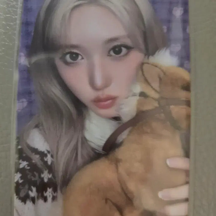 아이브 2026년 시그 특전 가을