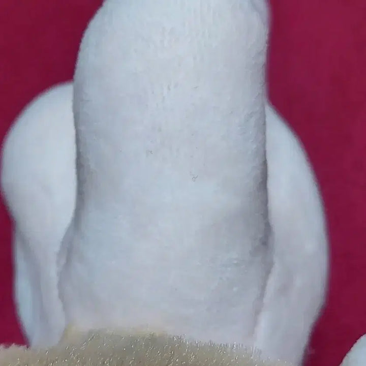 [BUNJANG] RACOON & Brushed Rabbit Fur 20cm Doll / RACOON,Brushed Rabbit Fur 20cm 무속성 솜인형