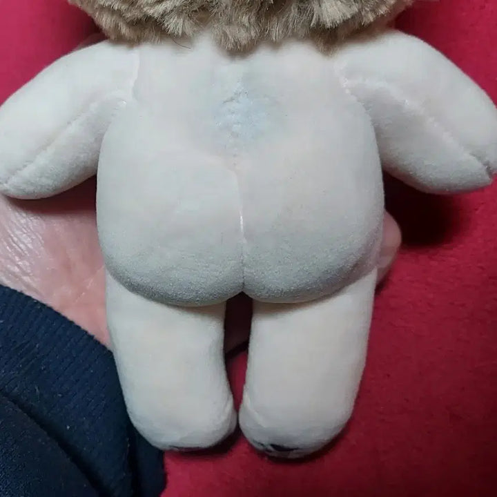 [BUNJANG] RACOON & Brushed Rabbit Fur 20cm Doll / RACOON,Brushed Rabbit Fur 20cm 무속성 솜인형