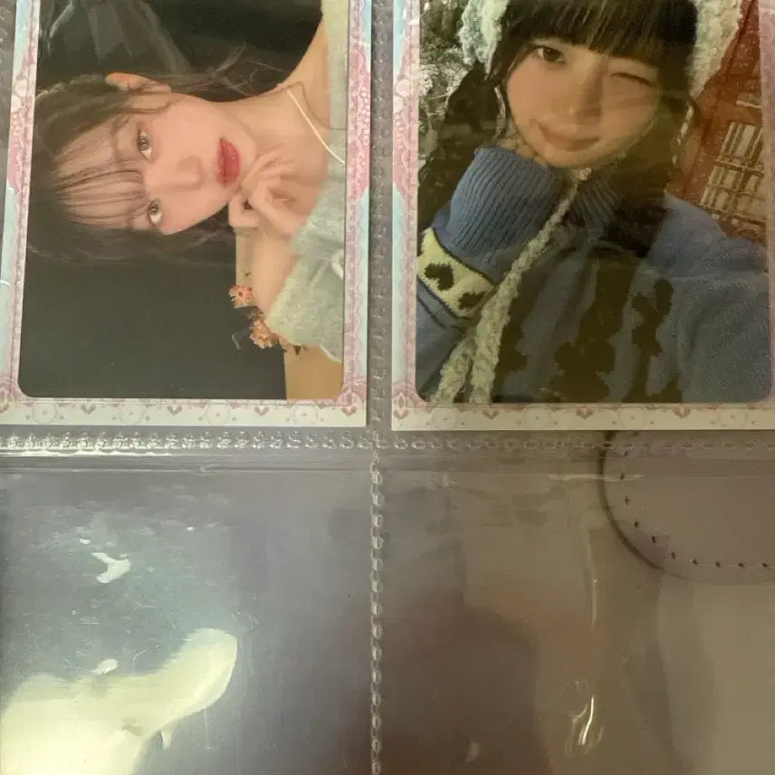 아이브 엠파시 포카