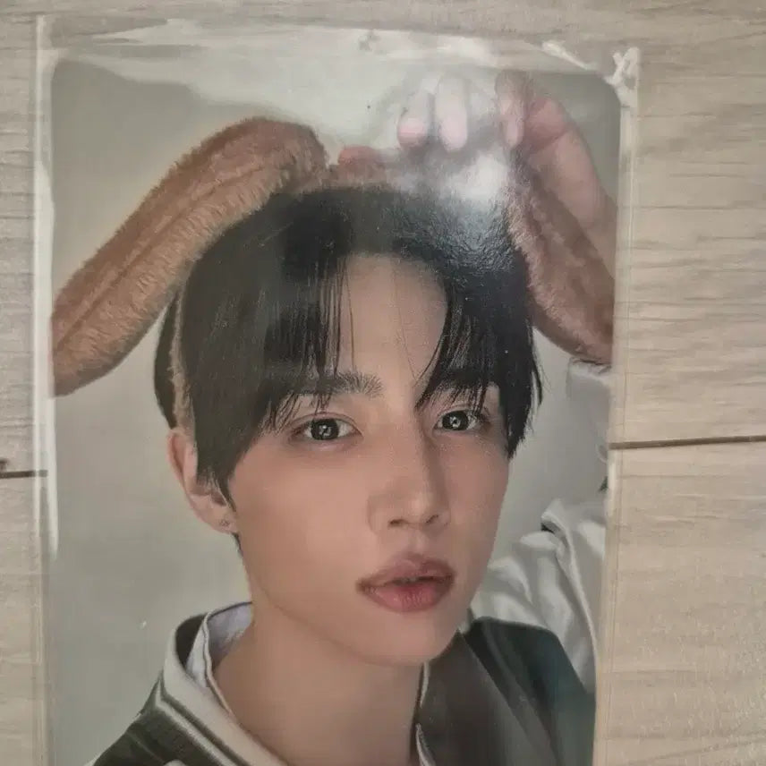 더보이즈 선우 힐링버드 포카