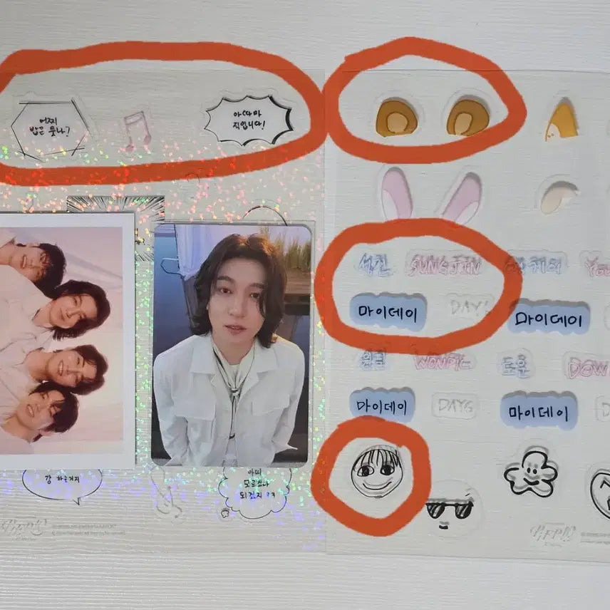 데이식스 포토데코세트 포카 성진