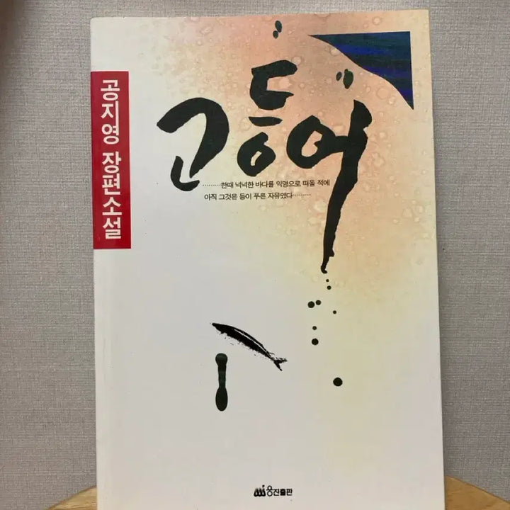 [BUNJANG] Gong Ji-young Novel - Mackerel / 공지영 장편소설 - 고등어