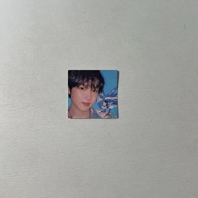 NCT WISH 송버드 사쿠야 스미니 앨범