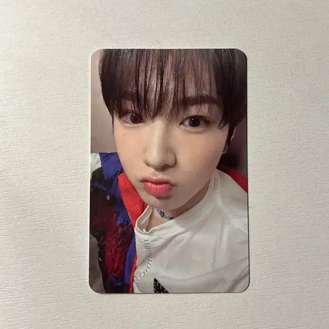 NCT WISH 송버드 사쿠야 스미니 앨범