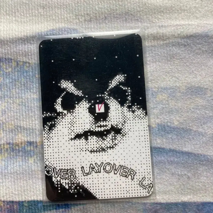 뷔크닉 역조공 입장포카  VICNIC 방탄 뷔 뷔크닉