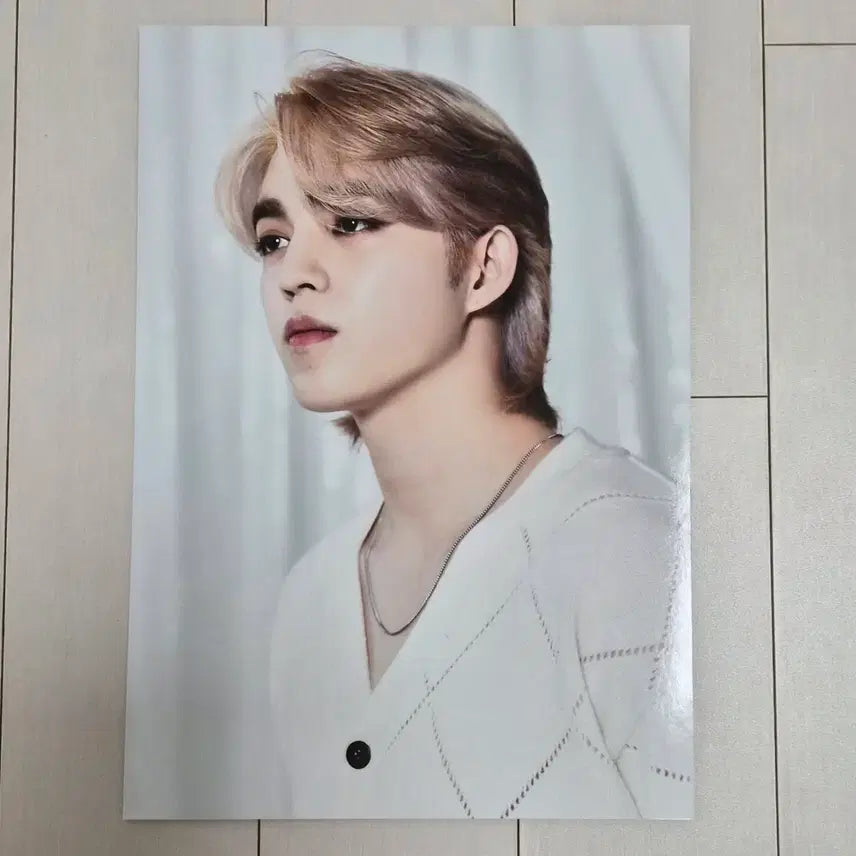 세븐틴 에스쿱스 be the sun 비더썬 포스터 콘서트 md 양도