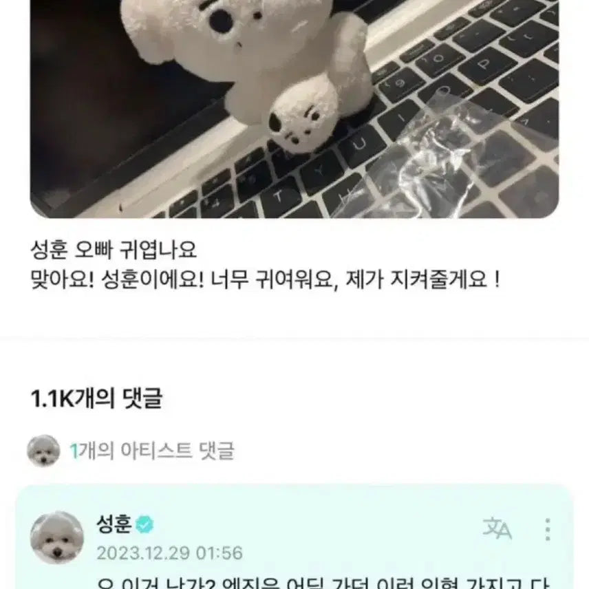 엔하이픈 박성훈 비공굿 인형 훈댕이