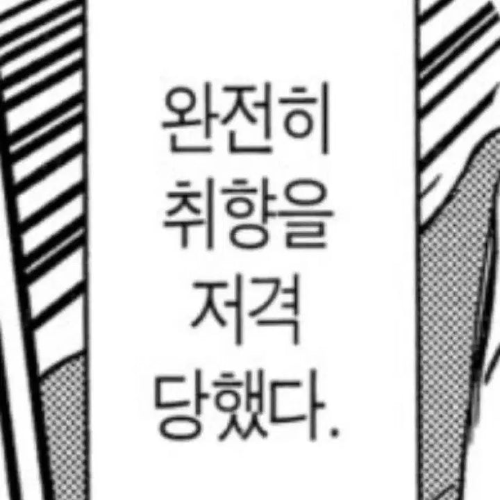 스트레이키즈 퍼핌 오리지널 팔아요