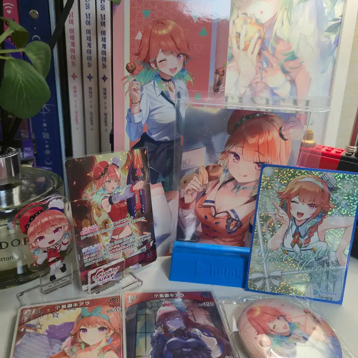 [BUNJANG] Hololive Kiara Bundle Set / 키아라 홀로라이브 굿즈일괄 (타카나시키아라 홀로en 홀로콜라보 홀로키아라