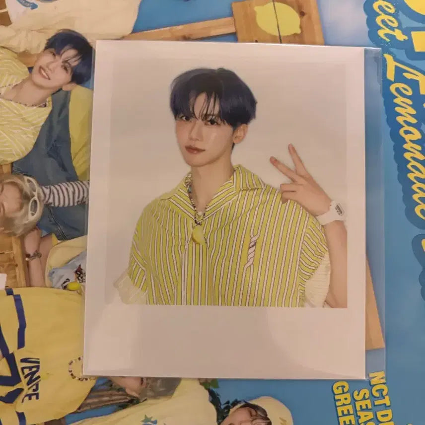 드림 2026 시그 재민 미개봉 폴라 양도