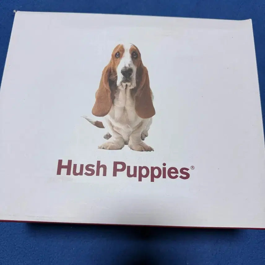 [BUNJANG] Hush Puppies Boots - Ivory 245 / 허쉬퍼피 부츠 새제품 풀세트