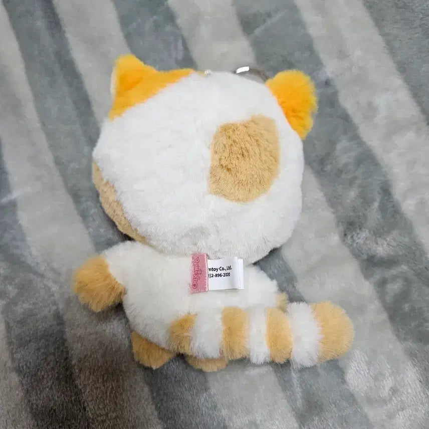 보넥도 성호 쁘넥도 캣삐 플러쉬 키링 인형 (택o)
