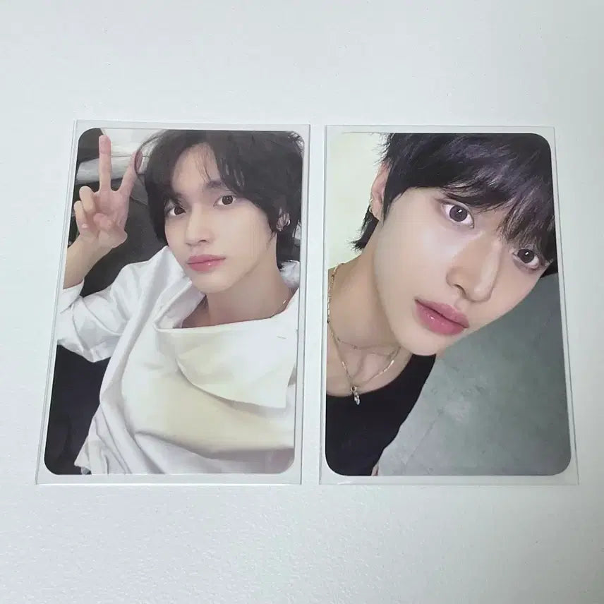 라이즈 원빈 시그 시즌그리팅 트레카 1주년 엠디 포카