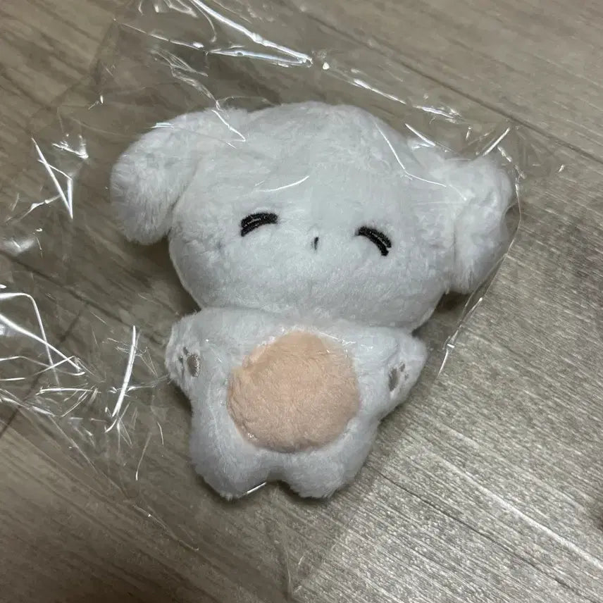 엔시티 드림 제노 인형 미개봉 젠톨