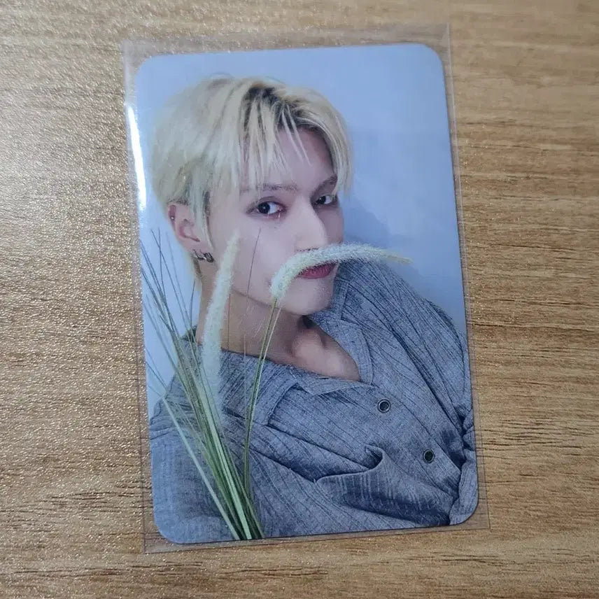 ATEEZ 에이티즈 우영 양면 포카 GOLDEN HOUR 강아지풀 디마뮤