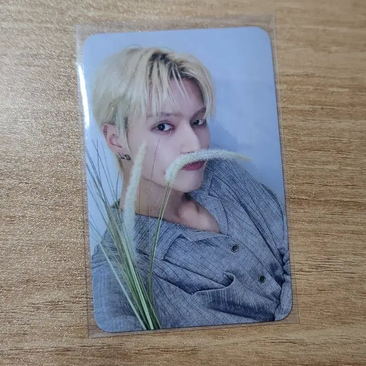 ATEEZ 에이티즈 우영 양면 포카 GOLDEN HOUR 강아지풀 디마뮤