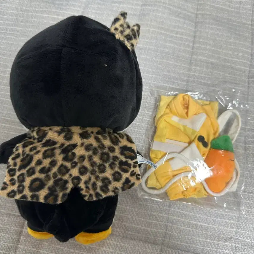 [BUNJANG] Lee Junho 20cm Doll Bundle Set / (비공굿) 잊쁘니 준호집 에디션 새상품 양도합니다!