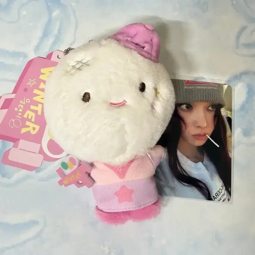 에스파 윈터 인형 뭉탱이