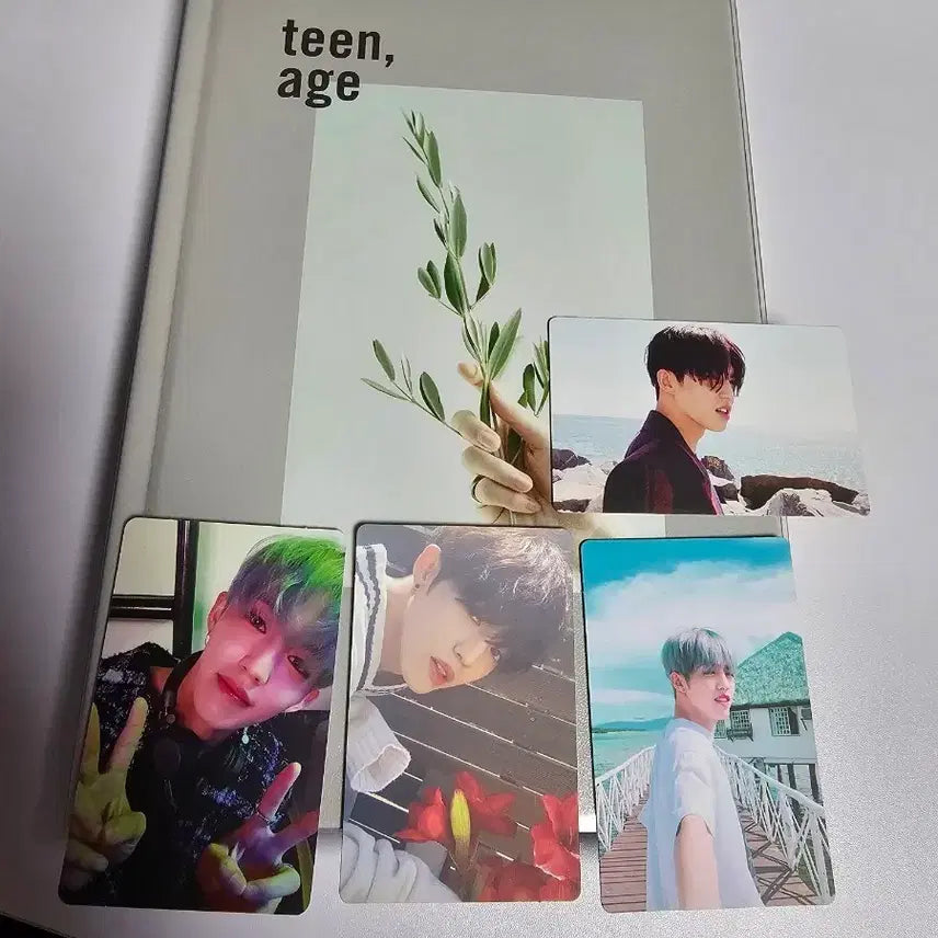 세븐틴 박수 teen,age 앨범 +에스쿱스 4종  포토카드 박화쿱 포함