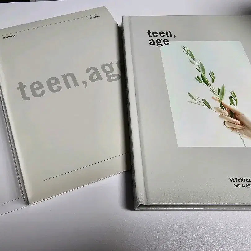 세븐틴 박수 teen,age 앨범 +에스쿱스 4종  포토카드 박화쿱 포함